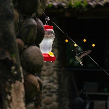 El Castillo Pura Vista Glamping酒店 外观 照片