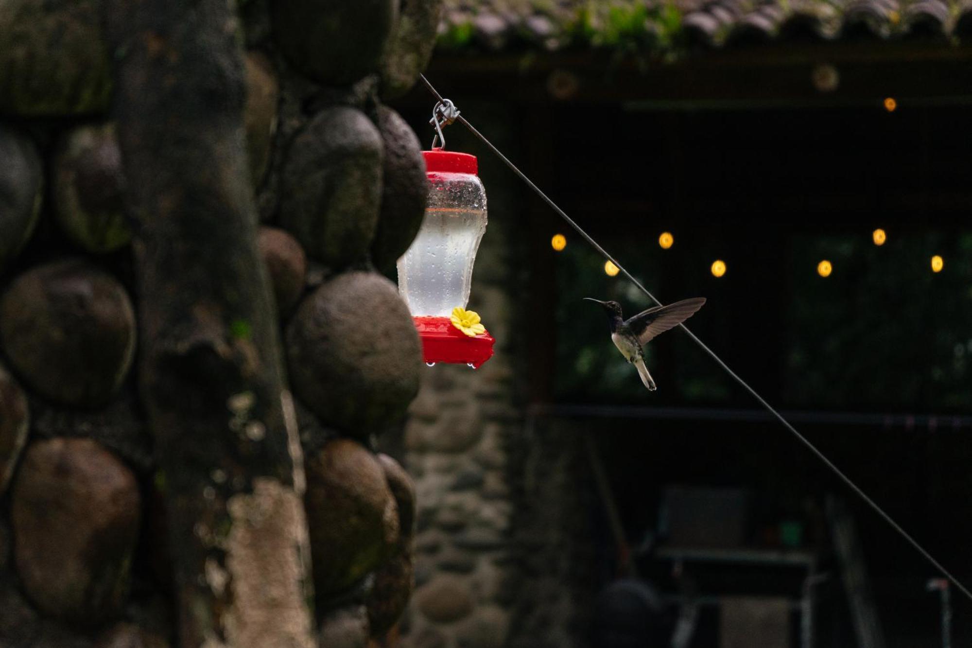 El Castillo Pura Vista Glamping酒店 外观 照片